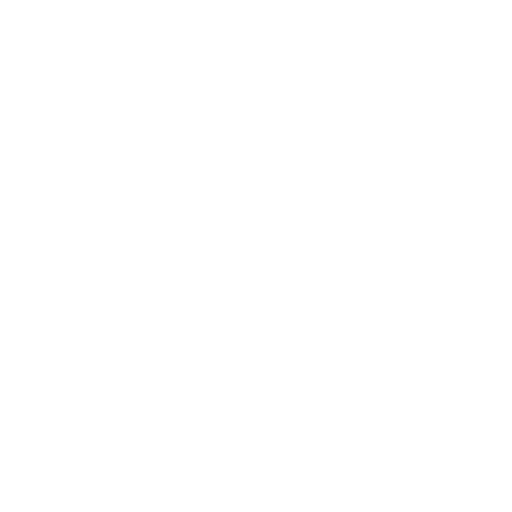 Foundation Vision